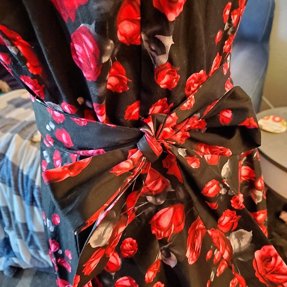 💖Host Pick💖 Vintage inspired fit and flare dress - Picture 3 of 4